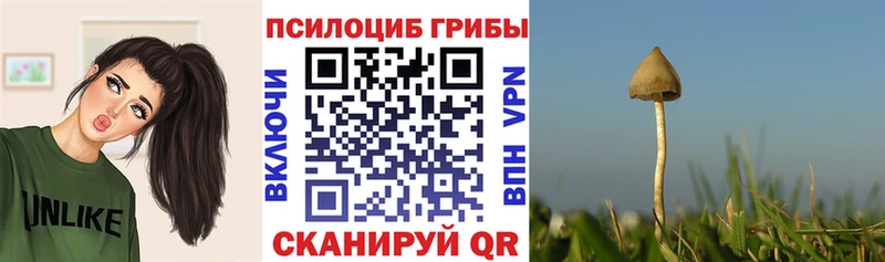 Псилоцибиновые грибы мухоморы hydra как войти Реж